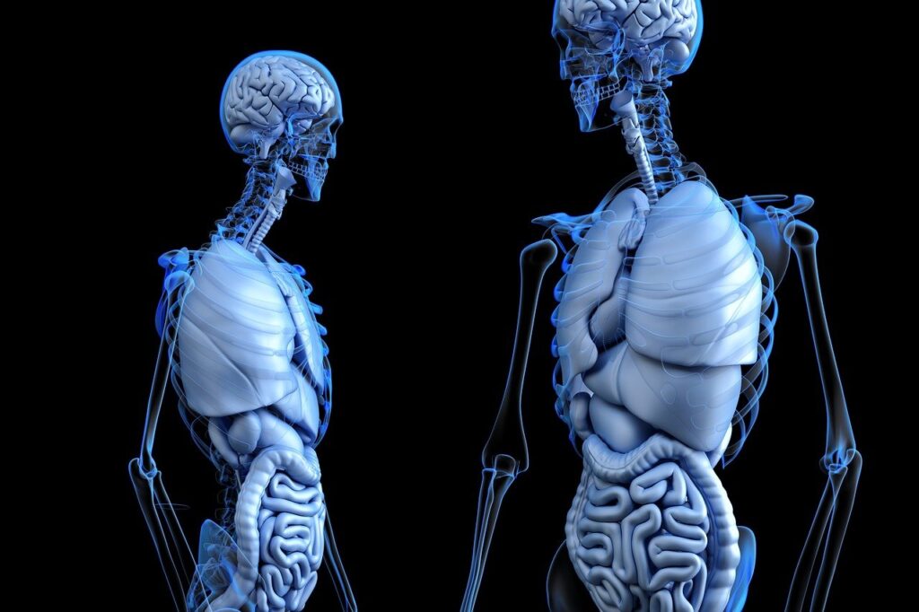 How Does Your Diet Affect Gut Microbiome?