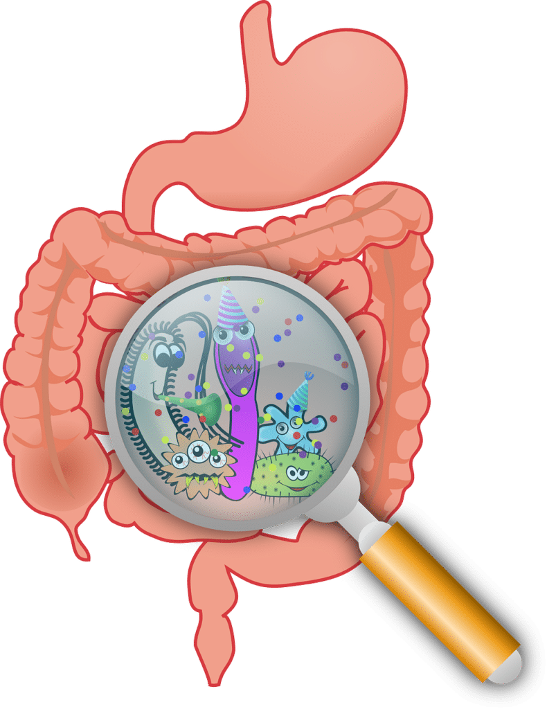 Signs Of An Unhealthy Gut (Bad Gut Bacteria)