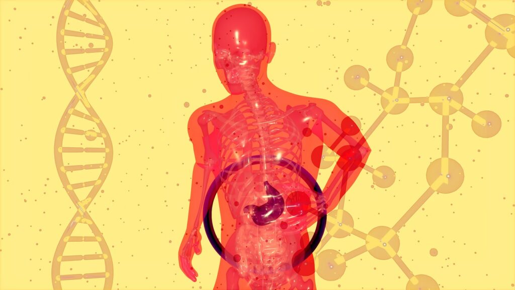 Why Is Gut Microbiota Important For Health? Why Is Gut Microbiota Important For Health?
