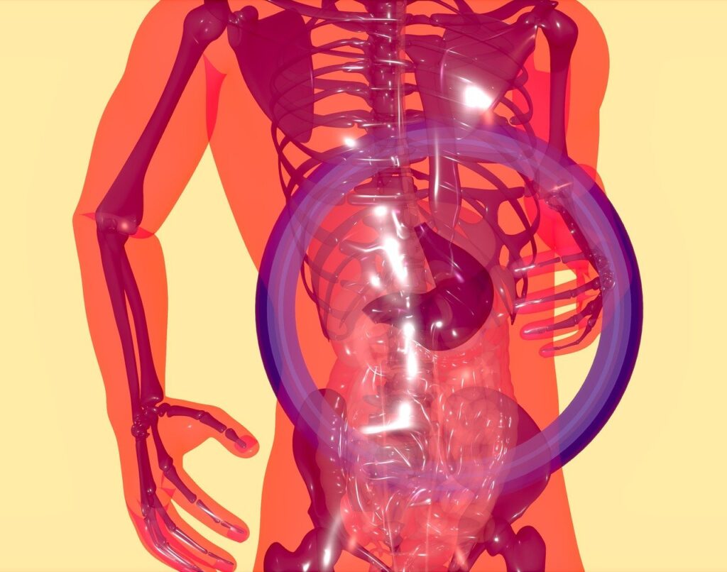 Why Is Gut Microbiota Important For Health? Why Is Gut Microbiota Important For Health?